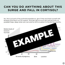 Load image into Gallery viewer, Post Natal Nutrition Basics Bible (E Book)